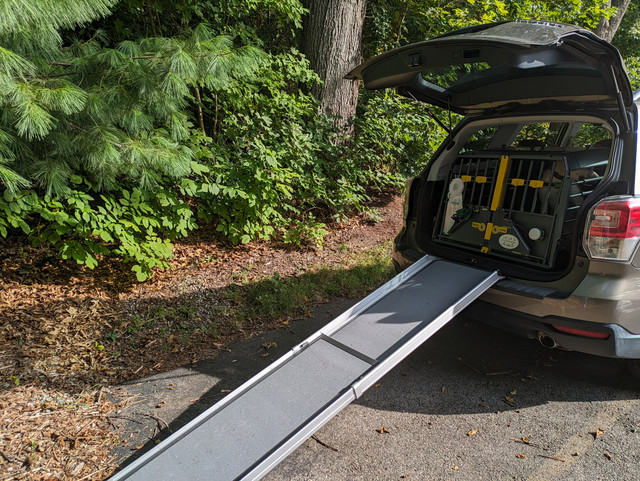 Tripawd Loki and Tempest's mom shares their car ramp setup.