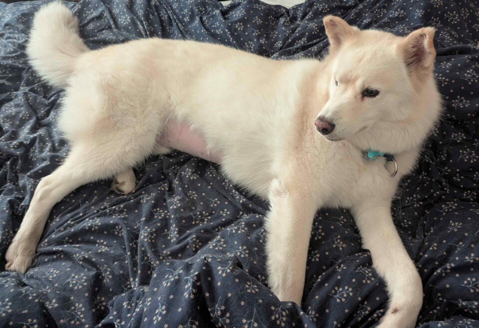 Duncan in November 2025 before stereotactic body radiation therapy (SBRT)