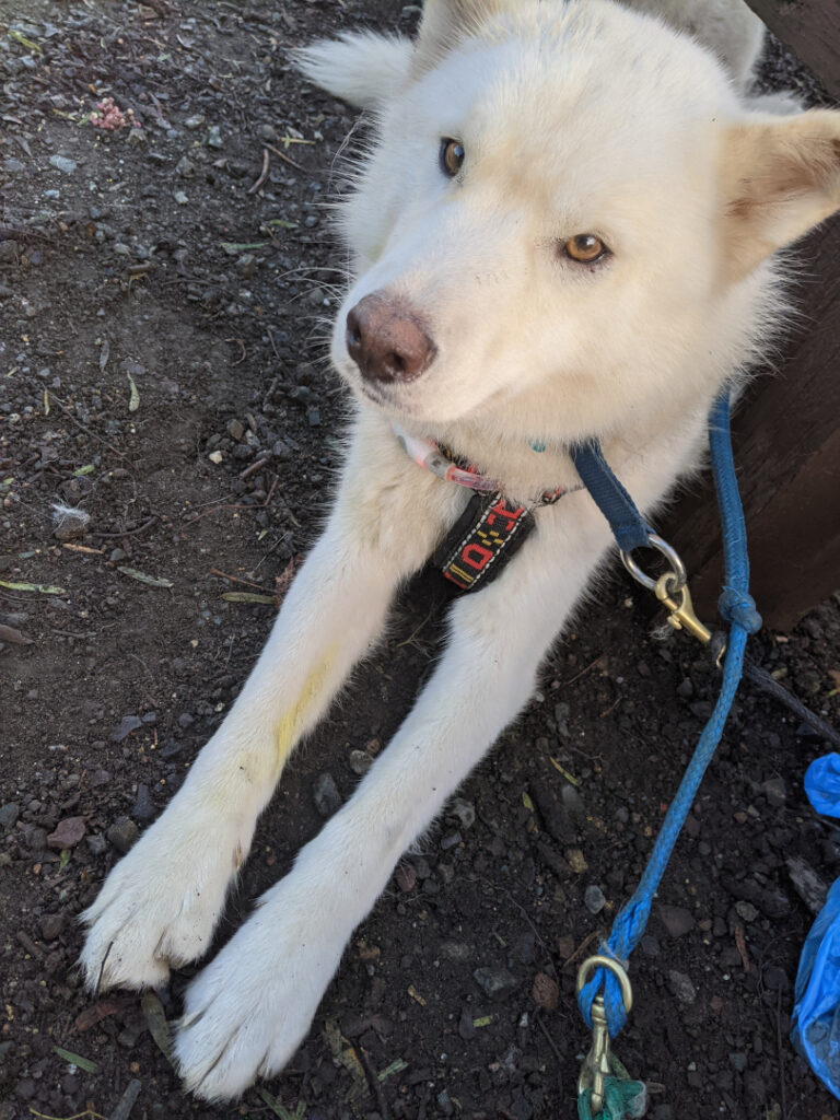 Duncan before stereotactic radiation therapy