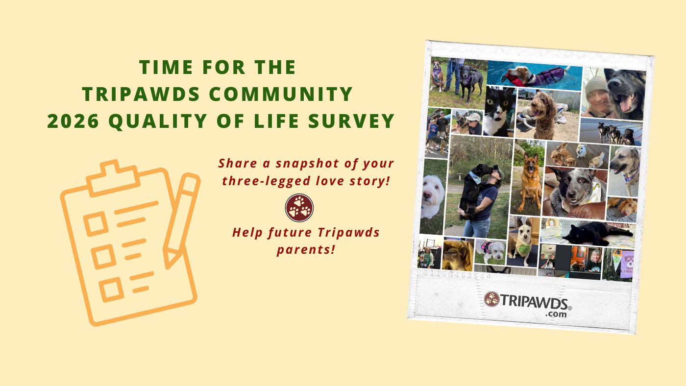 Take the Tripawds 2026 Quality of Life Survey