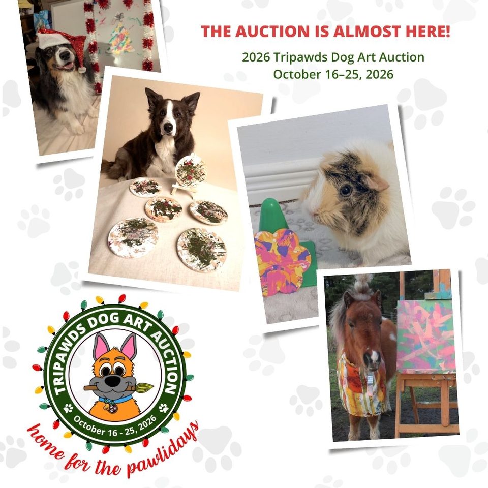 2026 Tripawds Dog Art Auction