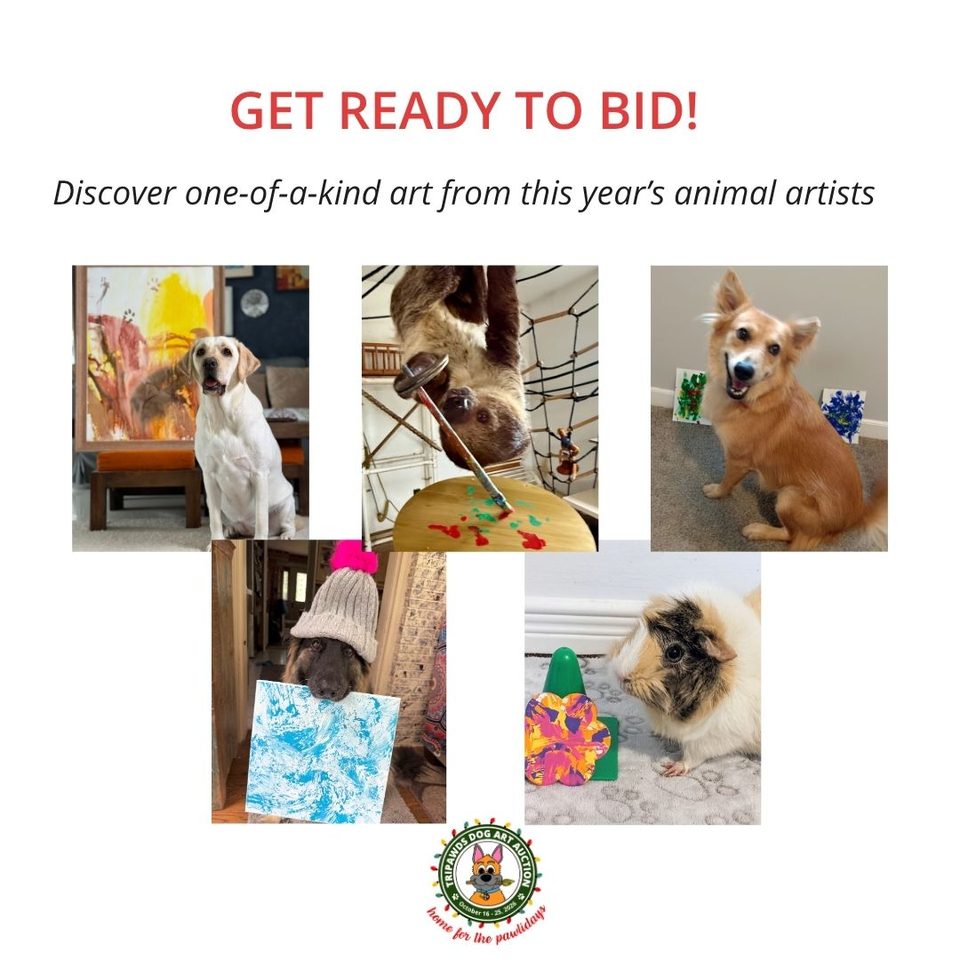 Tripawds Dog Art Auction artists Dali, Enzo, Ria, Wilhelmina and Picasso Piggy