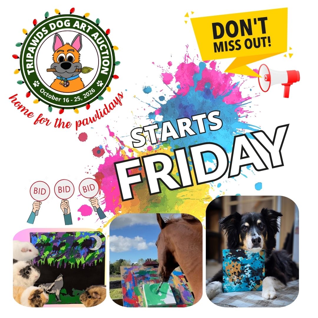 2026 Tripawds Dog Art Auction Starts Friday