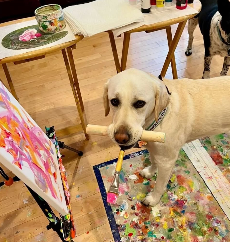 Picasso the Painting Lab creates for charities like Tripawds