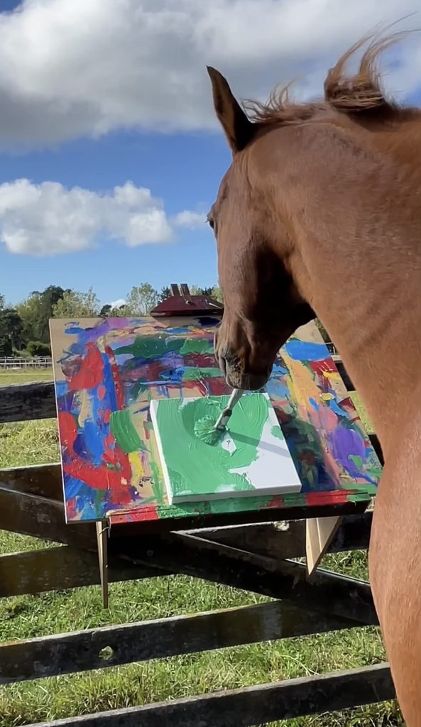 Painting horse Possum Picasso from New Zealand