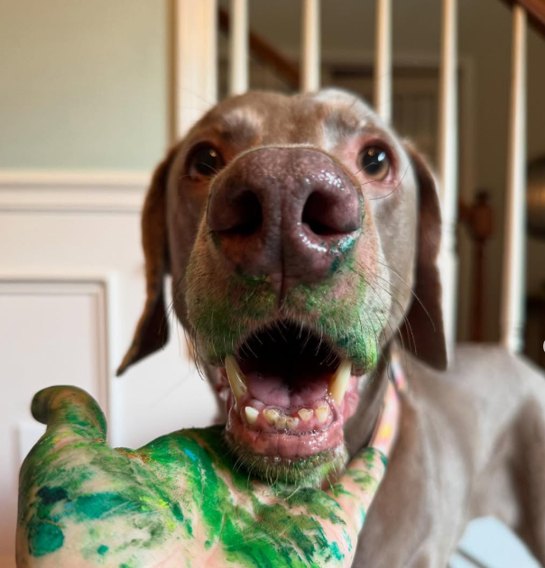 Margeaux the painting Weim