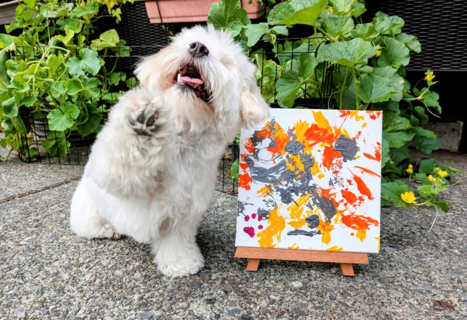 Peekaboo the blind painting Coton