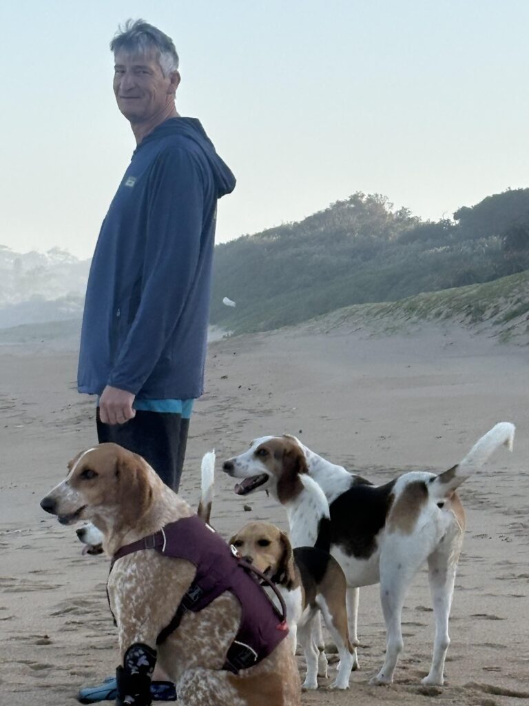 Tripawd Daisy on the beach with her family and other dogs