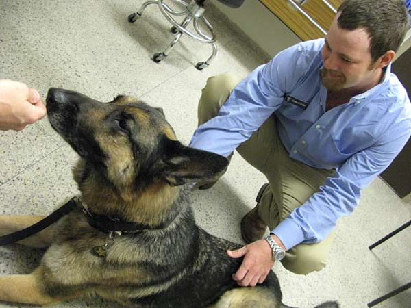 Texas A&M, veterinary teaching hospital, sports rehab, therapy, Tripawd, dog, tips