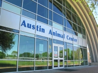 Austin Texas Animal Shelter