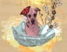 Cancer Hero Nova the Great Dane