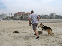 Running on the Santa Monica Beach
