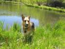 Swimming at a lake on Vickers Ranch