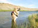 Jerry enjoys the S. Platte river near Sinclair, WY