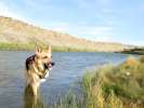 Jerry enjoys the S. Platte river near Sinclair, WY