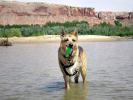 Jerry plays in San Juan River Juy 2007