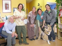 Veterinary Cancer Care Clinic Staff in Santa Fe, NM