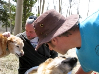 Kisses for Dave and Jim from Jerry and Chester