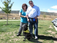 Tripawds member Gineej with Paris and her pack