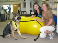 Wyatt visits FitPaws Office in Longmont, CO