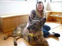 Stacey with Senior Three Legged GSD Osteosarcoma Hero Eisen