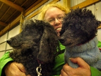 Tripawds member nstephensen with Polly and James