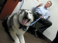VCA L.A. Oncology vet Patient Reno