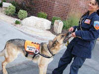 911 Search and Rescue Dog Team at Blog Paws