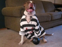 Phillip Halloween 2014