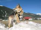 Posing on the last snow of the season in Silverton, CO