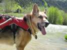 By the Lake Fork of the Gunnison River on Vickers Ranch