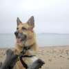 Standing watch at Whitefish Point, MI on Lake ontario