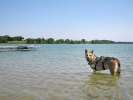 Swimming in Long Lake, Minnesota