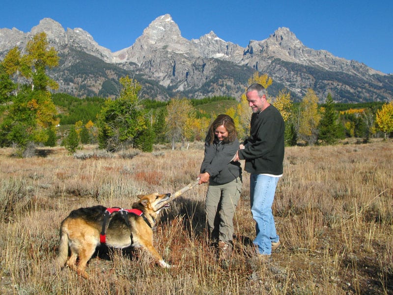 Tripawd Jerry Grand Teton National Park