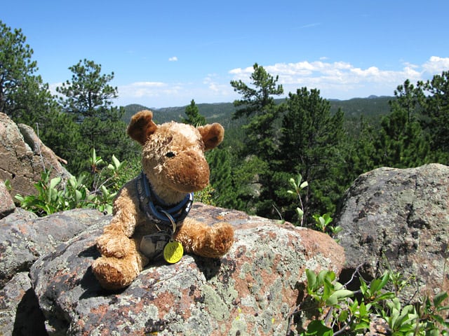 Spirit Jerry enjoys his new mountain home.