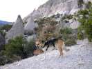 At Tent Rocks Near Cochiti Pueblo, New Mexico