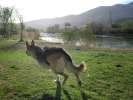 Running along the Rio Grande in T or C, New Mexico