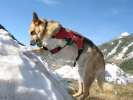 Playing in the last snow of the season in Silverton, CO