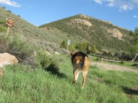 Boondocking on BLM Land Near Lake City, Colorado