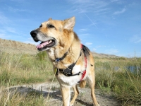 Jerry boondocking near Sinclair, WY
