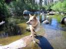 Boondocking at Silver Lake in the Sierras