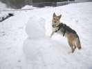 Attacking a snow man on Berry Summit