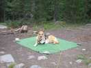 At Seedhouse campground in the Routt national Forest