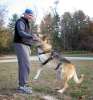 Jumping for sticks at Claytor Lake in Virginia