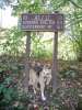 On the Appalachian Trail in Vermont