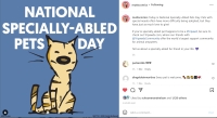 Mutts 2022 Specially Abled Pets Day