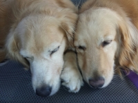 EmmyLou and Shelby Crowder