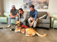 Nellie loves the Burley Team