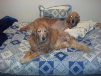 Finley and Julia