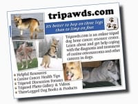 Help spread the word with Tripawds.com fliers!